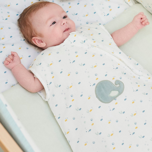 Βρεφικός χειμερινός υπνόσακος 0 έως 6 μηνών