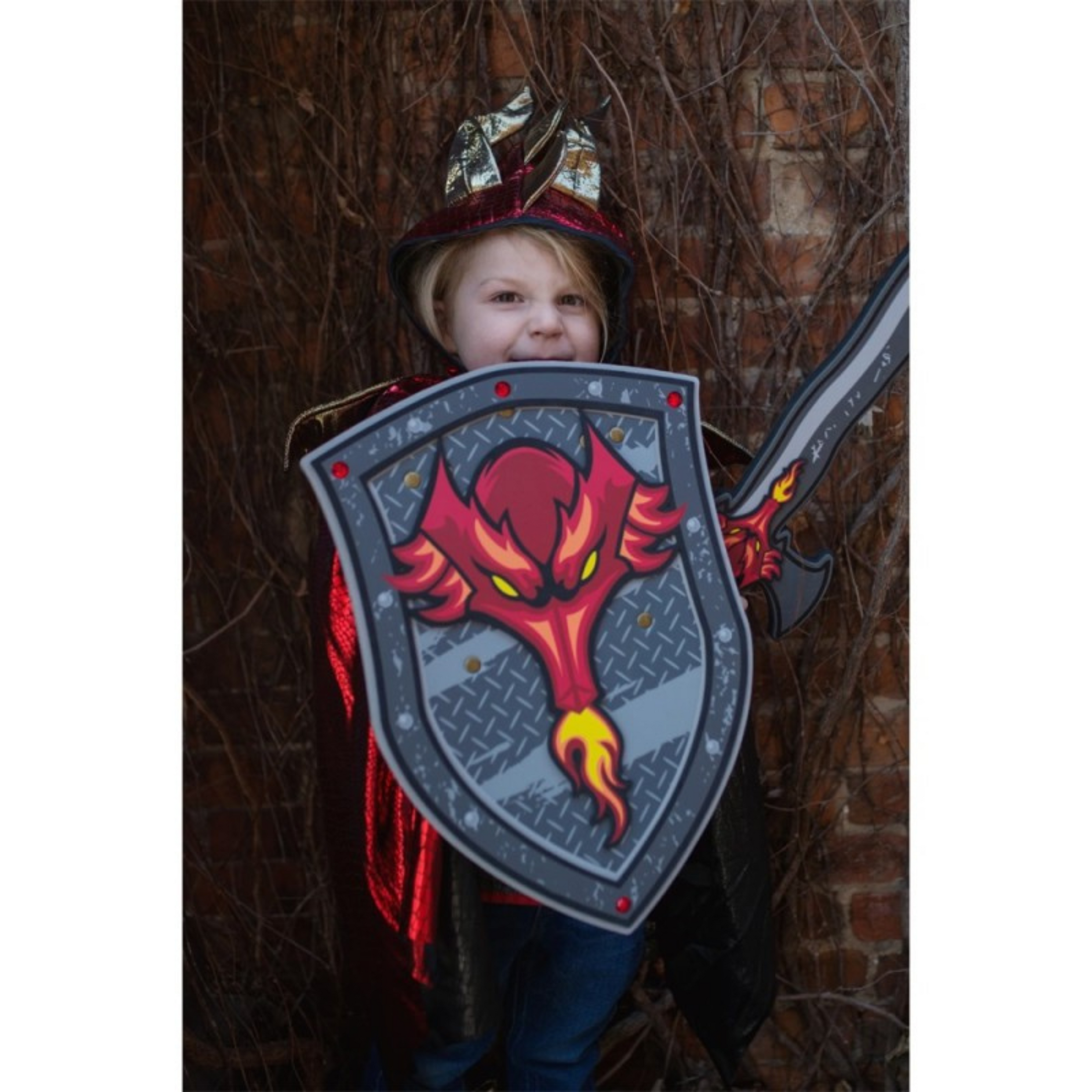 Children's shield Red dragon