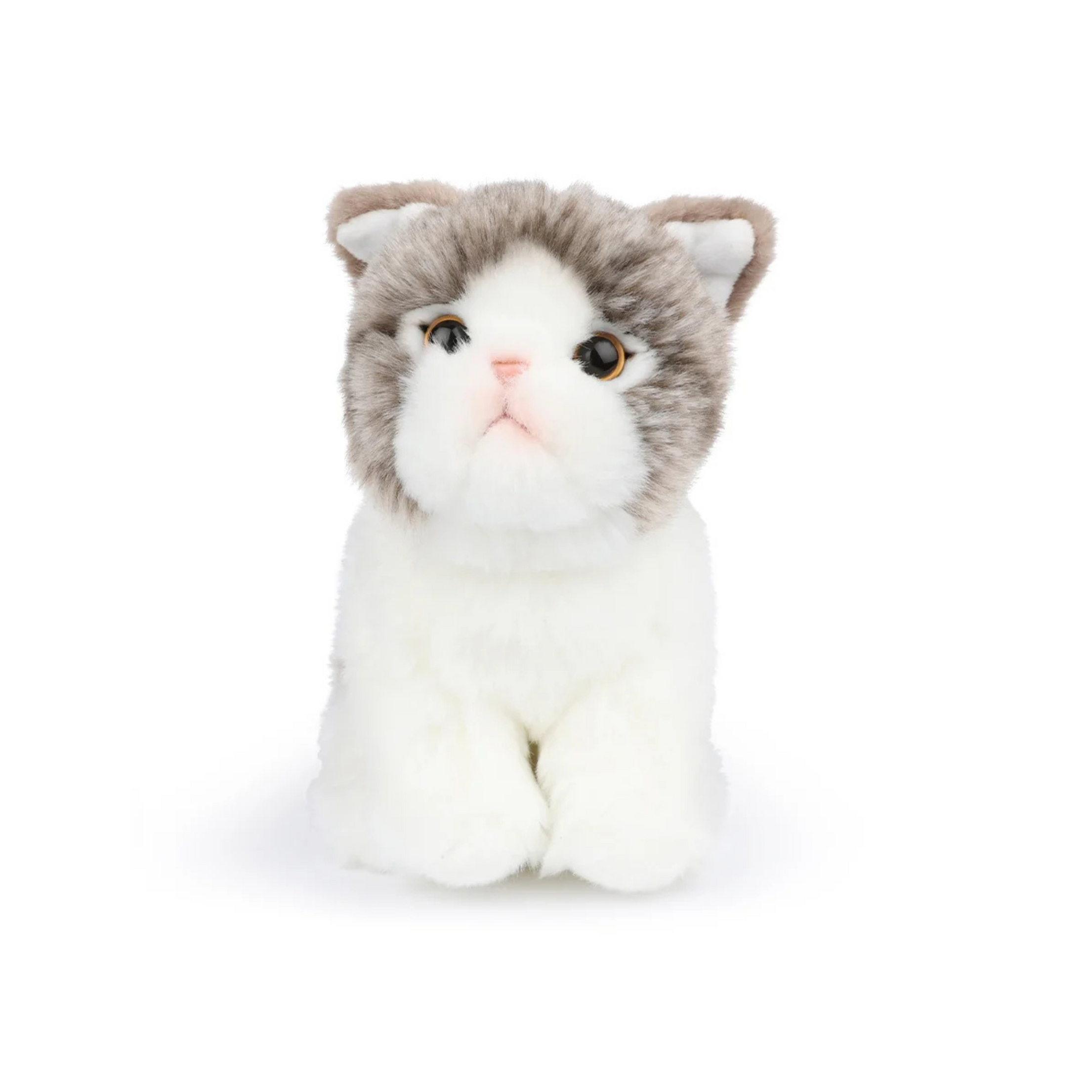 Children's Fabric Doll Amelie the Scottish Fold