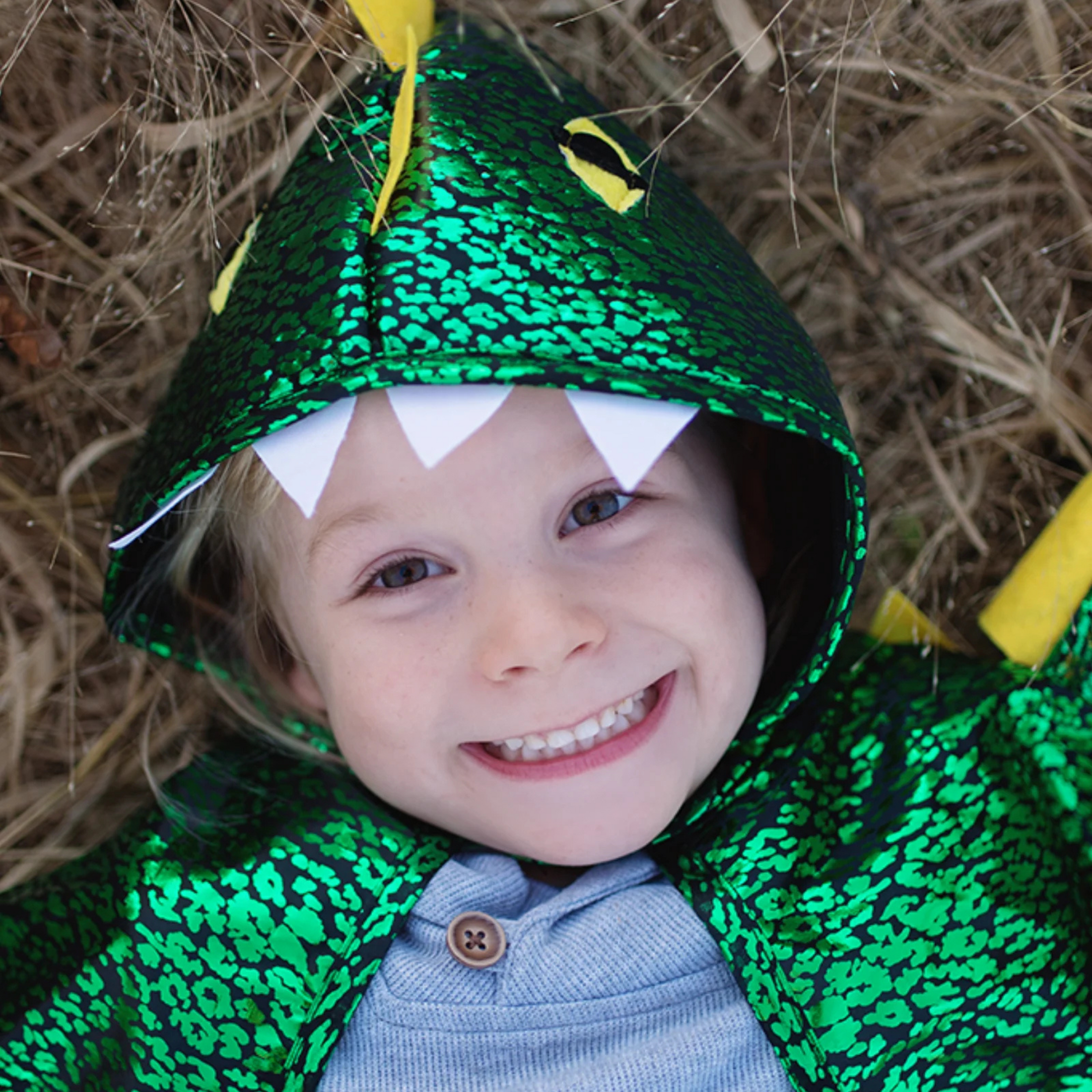 Children's Dragon Halloween costume