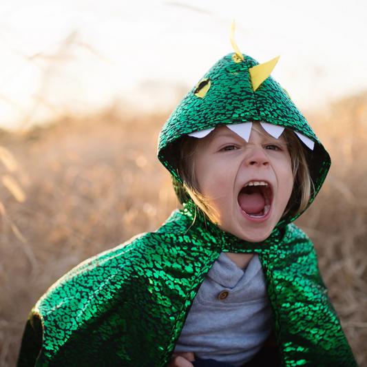 Children's Dragon Halloween costume