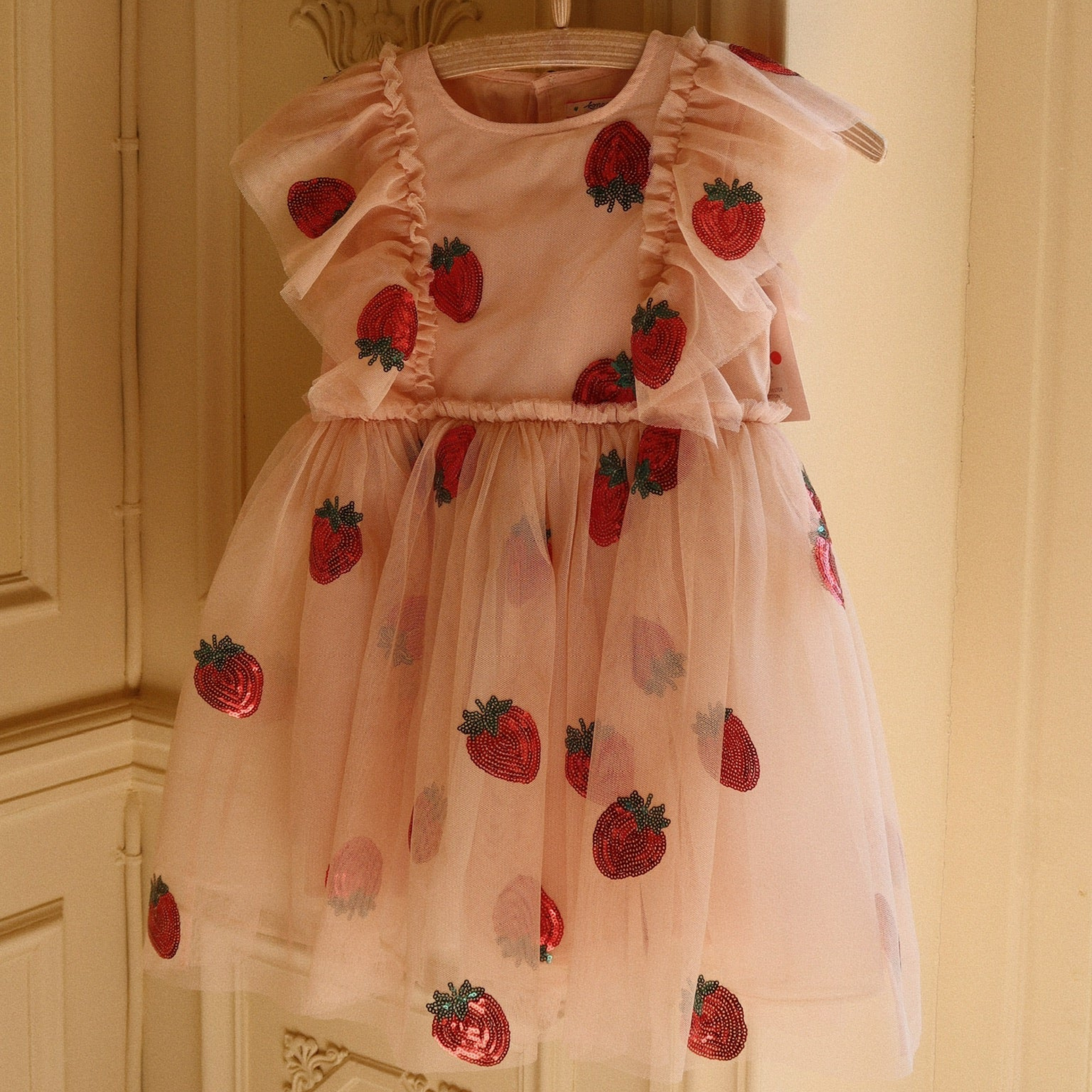 Girls Fairy dress with strawberry sequins