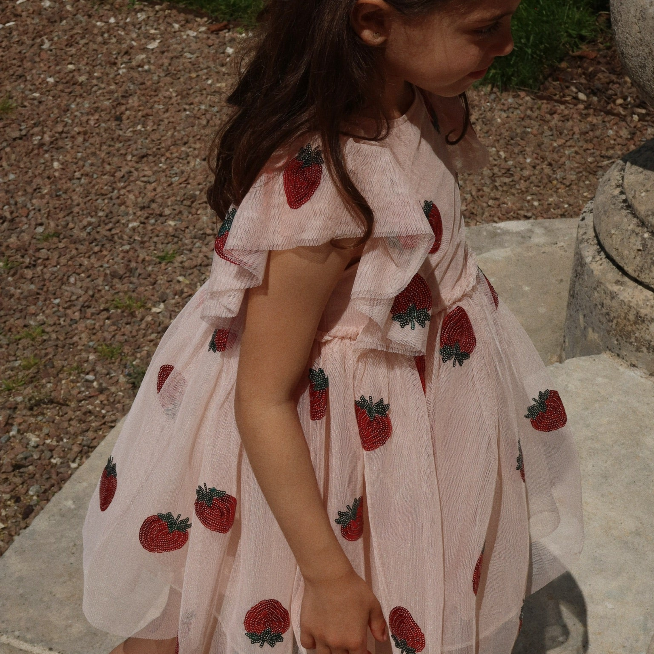 Girls Fairy dress with strawberry sequins