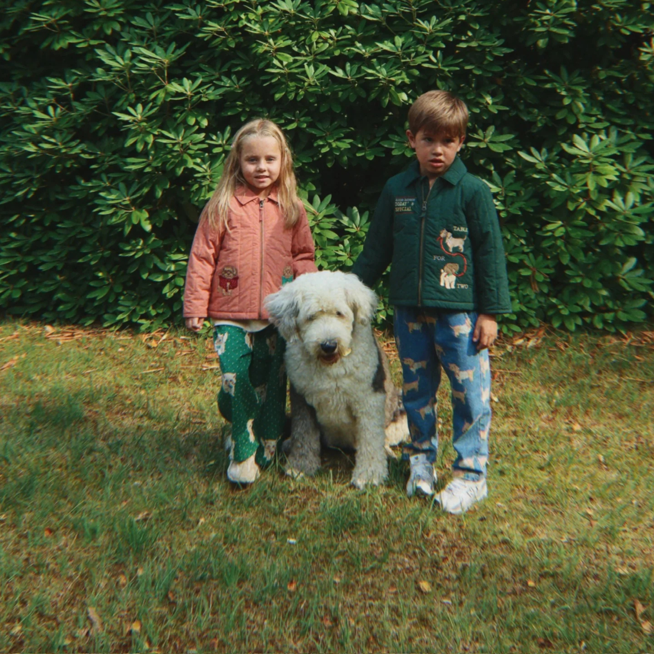 Παιδικό μπουφάν bomber canyon rose Σκυλάκια Konges Slojd