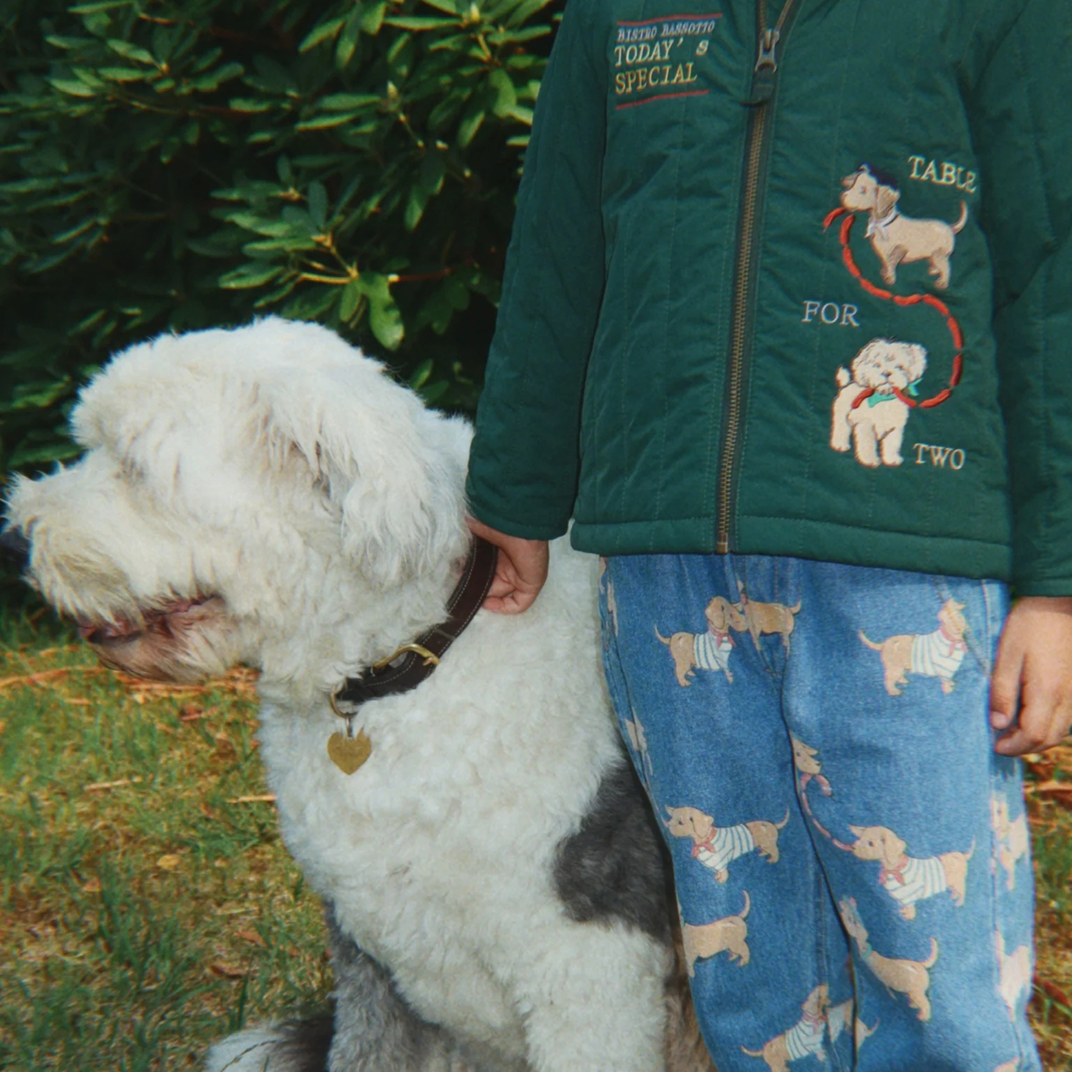 Παιδικό μπουφάν bomber pine grove Σκυλάκια Konges Slojd