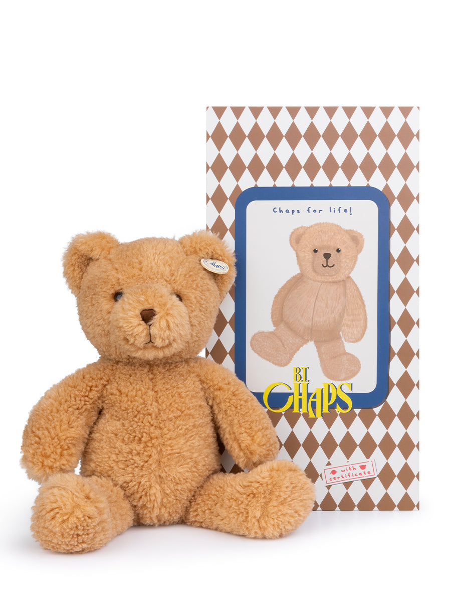 Children's teddy bear Gus the Homie Bear in gift packaging