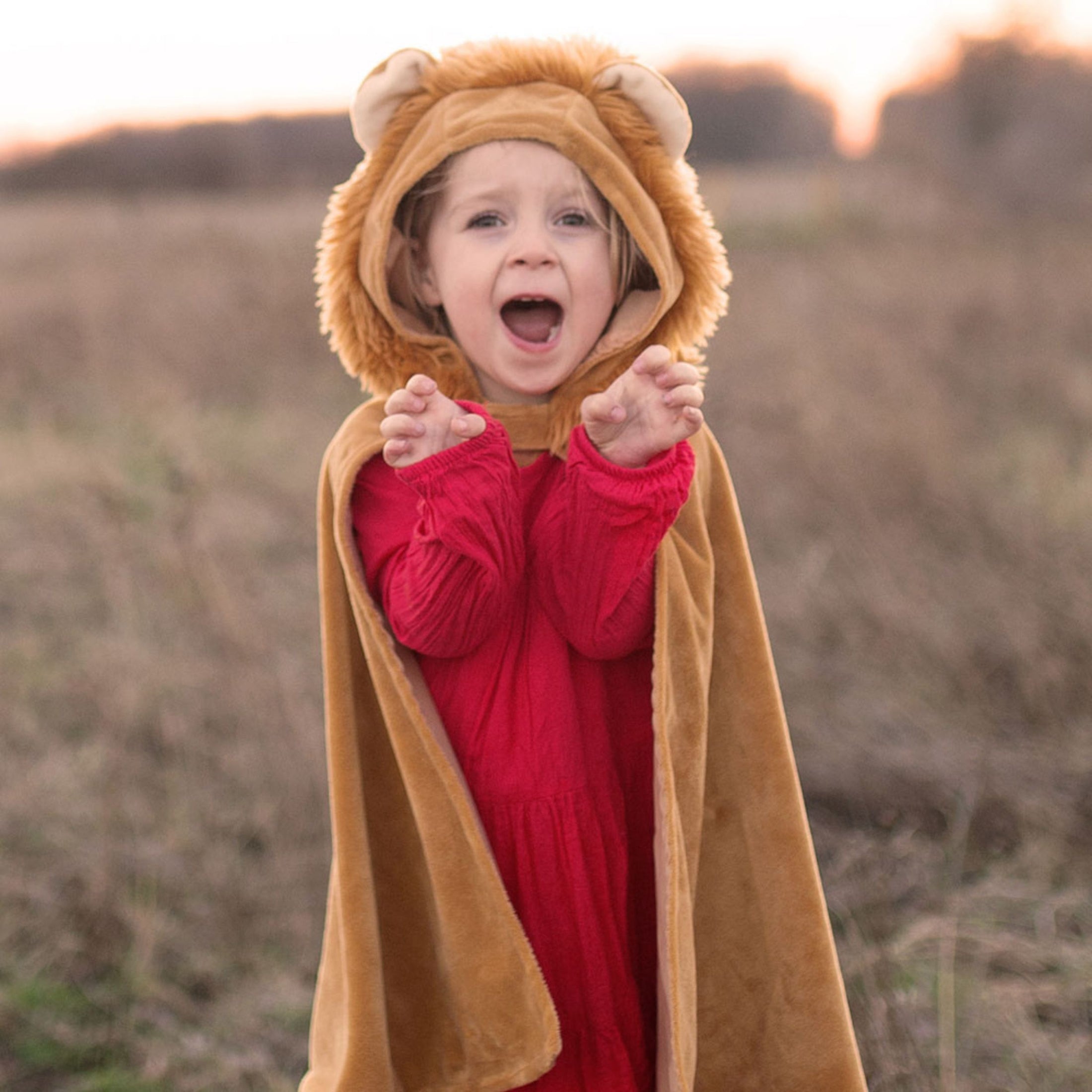 Παιδική αποκριάτικη στολή Λιοντάρι Great Pretenders