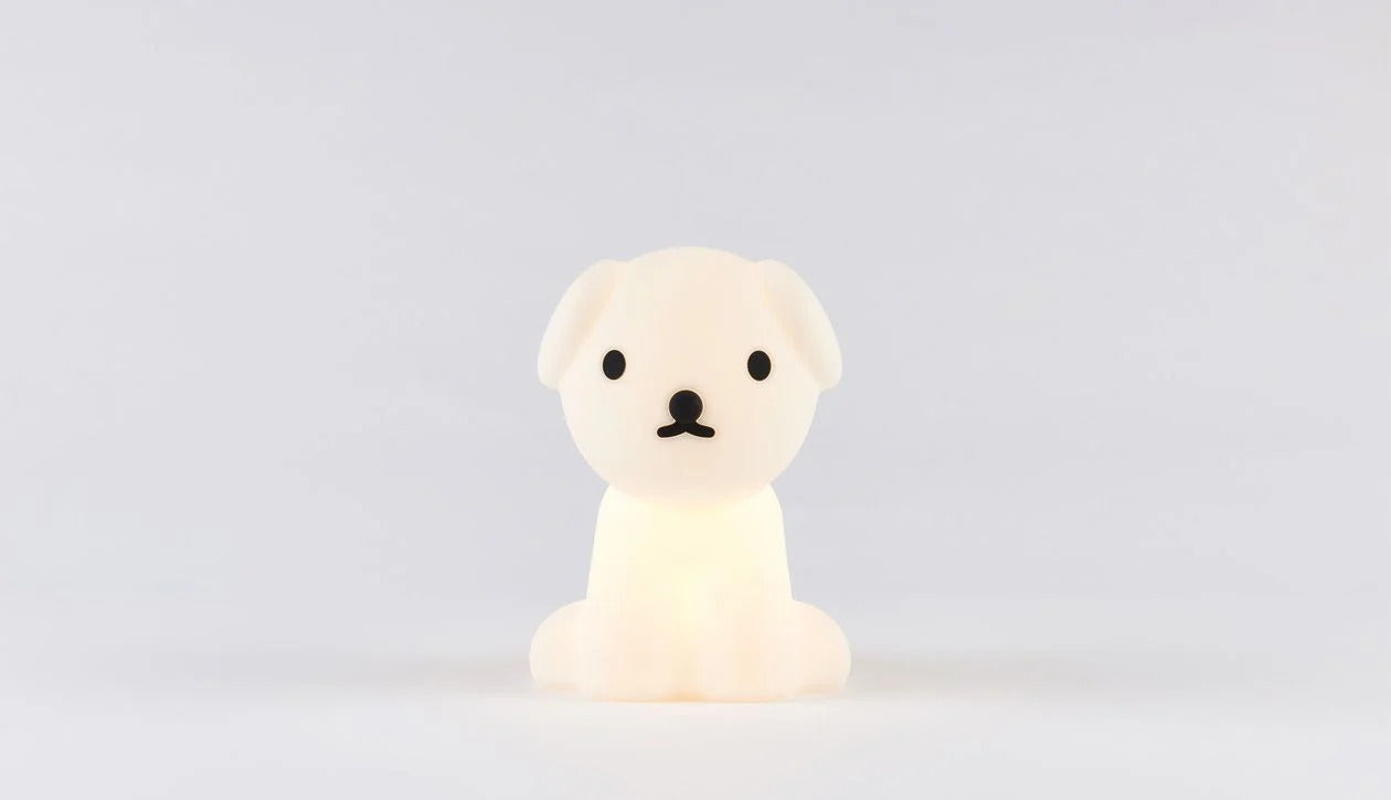 Children's night light Bundle Snuffy