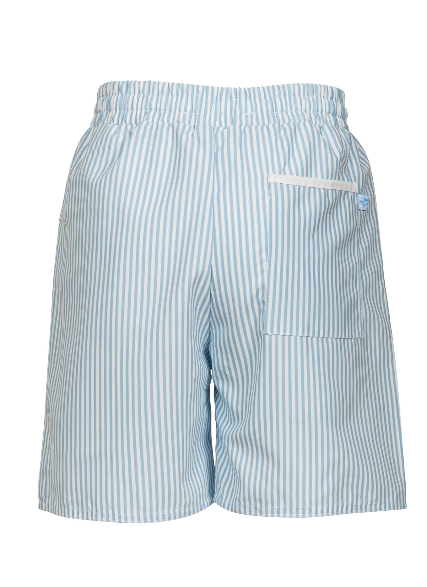 Boys swimsuit shorts with blue stripes