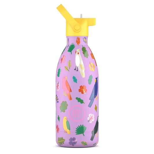 Παιδικό ανοξείδωτο μπουκάλι fly free 500ml Cool Bottles